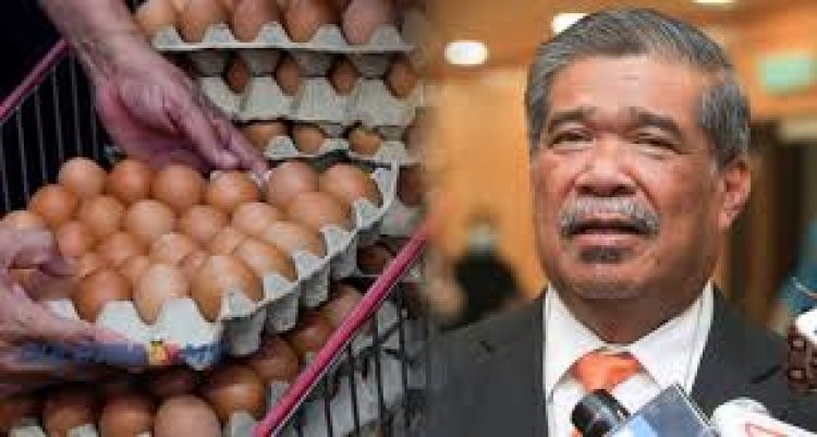 Kerajaan kaji apung harga telur, subsidi untuk B40