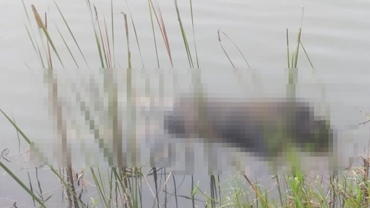Polis temukan mayat terapung dalam bekas lombong
