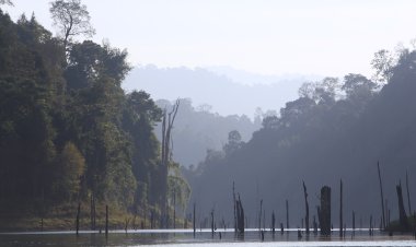 MOTAC sasar kemasukan 16.1 juta pelancong tahun ini